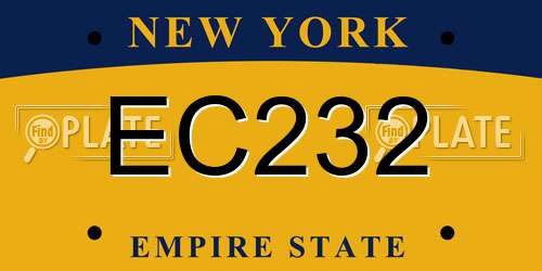 EC232 New York License Plate