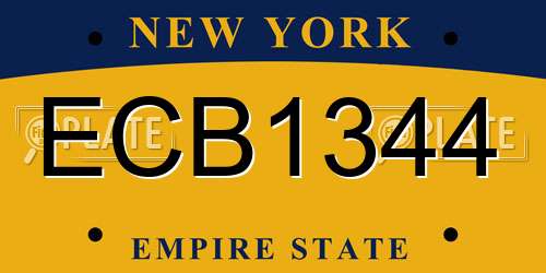 ECB1344 New York License Plate