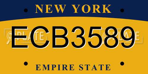 ECB3589 New York License Plate