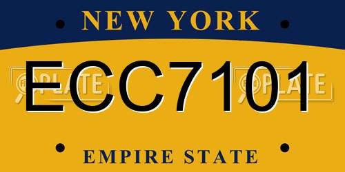 ECC7101 New York License Plate