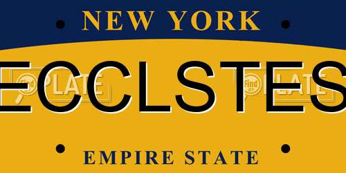 ECCLSTES New York License Plate