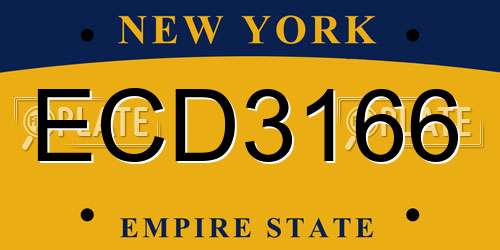 ECD3166 New York License Plate