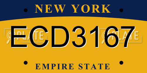 ECD3167 New York License Plate