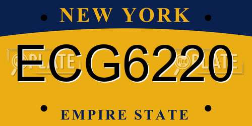 ECG6220 New York License Plate