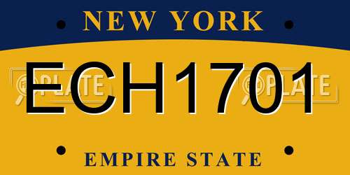 ECH1701 New York License Plate
