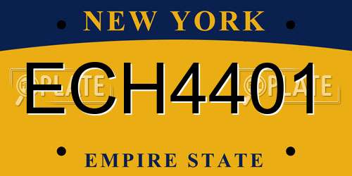 ECH4401 New York License Plate
