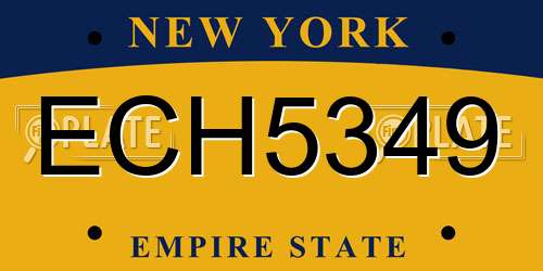 ECH5349 New York License Plate