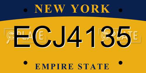 ECJ4135 New York License Plate