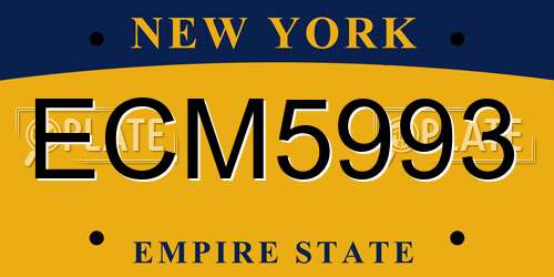 ECM5993 New York License Plate