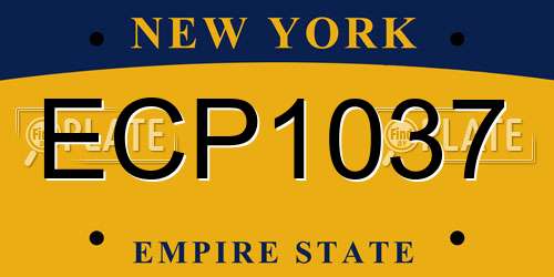 ECP1037 New York License Plate