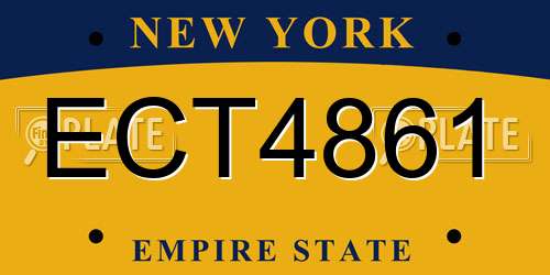 ECT4861 New York License Plate