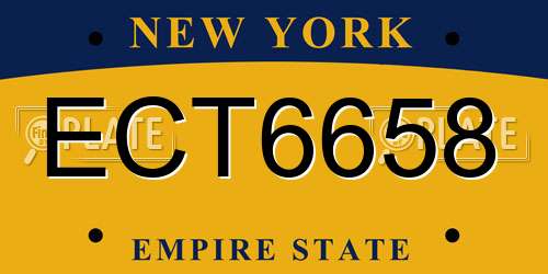 ECT6658 New York License Plate