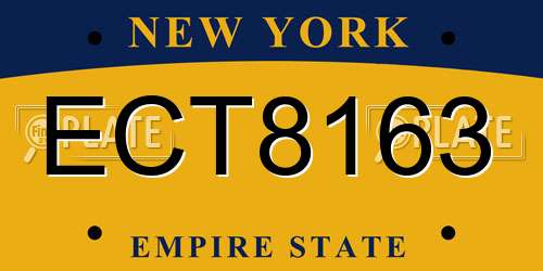 ECT8163 New York License Plate