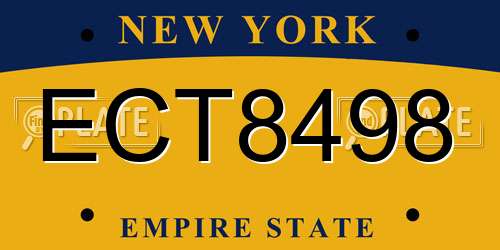 ECT8498 New York License Plate