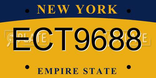 ECT9688 New York License Plate