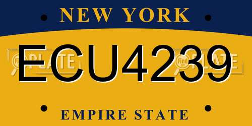 ECU4239 New York License Plate