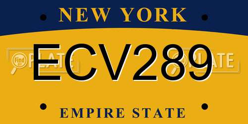ECV289 New York License Plate