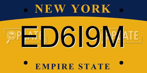 ED6I9M New York License Plate