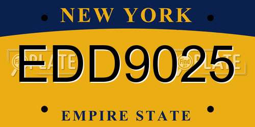 EDD9025 New York License Plate