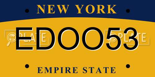 EDOO53 New York License Plate