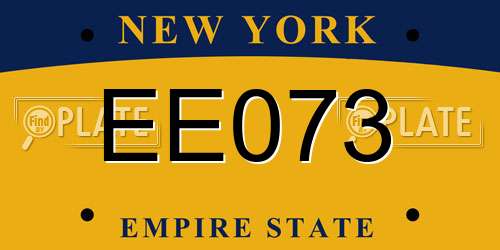 EE073 New York License Plate