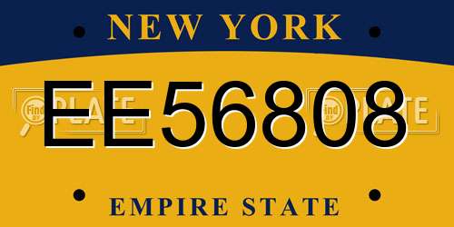 EE56808 New York License Plate