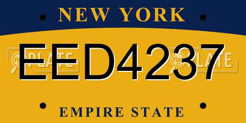 EED4237 New York License Plate
