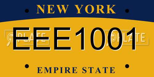 EEE1001 New York License Plate