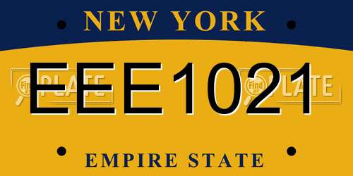 EEE1021 New York License Plate