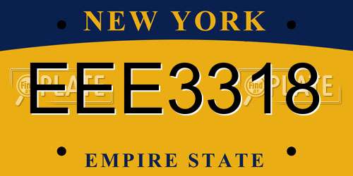 EEE3318 New York License Plate