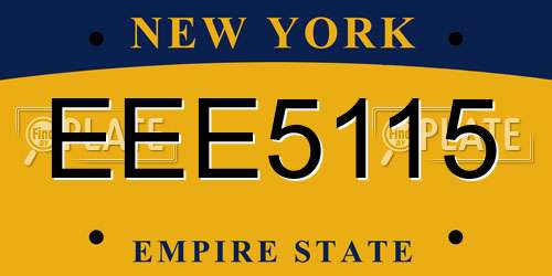 EEE5115 New York License Plate