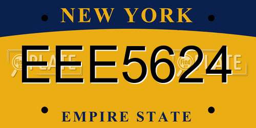 EEE5624 New York License Plate