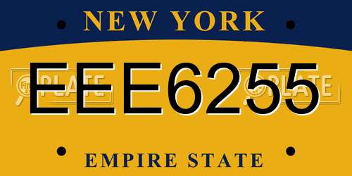 EEE6255 New York License Plate