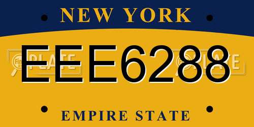 EEE6288 New York License Plate