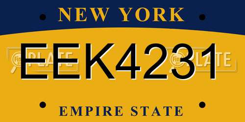 EEK4231 New York License Plate