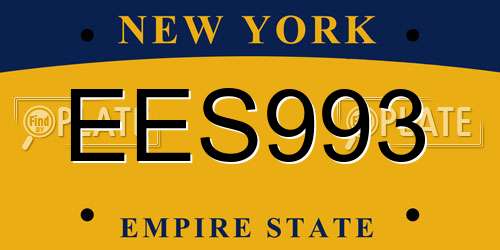 EES993 New York License Plate