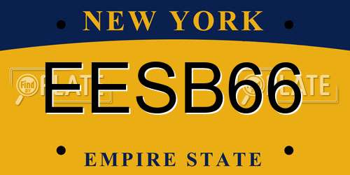 EESB66 New York License Plate