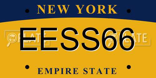 EESS66 New York License Plate