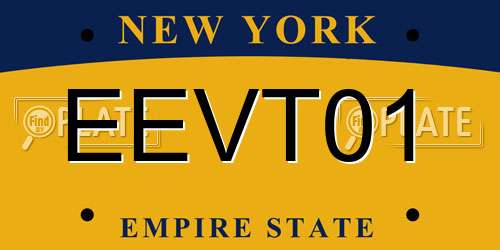 EEVT01 New York License Plate
