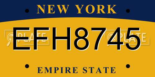 EFH8745 New York License Plate