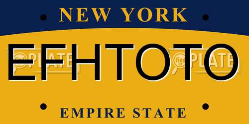 EFHTOTO New York License Plate
