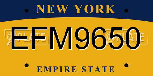 EFM9650 New York License Plate