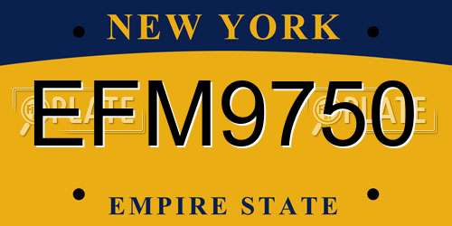 EFM9750 New York License Plate