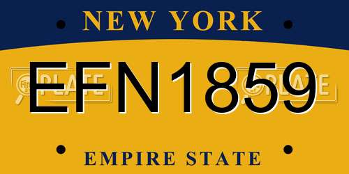EFN1859 New York License Plate