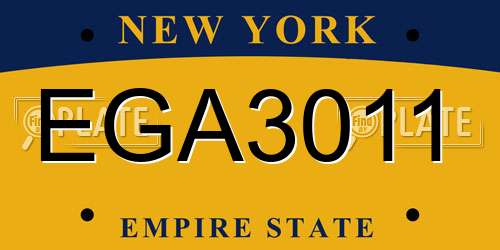 EGA3011 New York License Plate