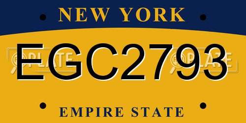 EGC2793 New York License Plate