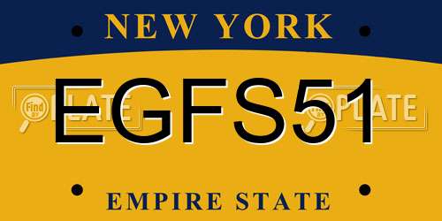 EGFS51 New York License Plate