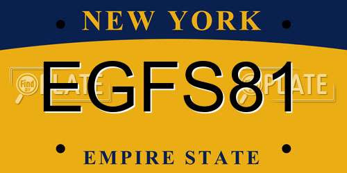 EGFS81 New York License Plate
