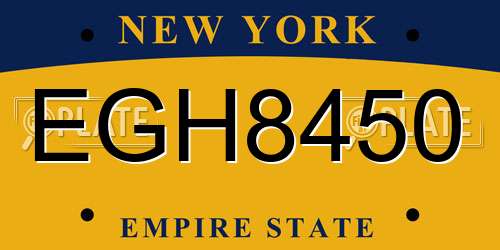 EGH8450 New York License Plate