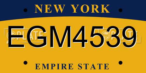 EGM4539 New York License Plate